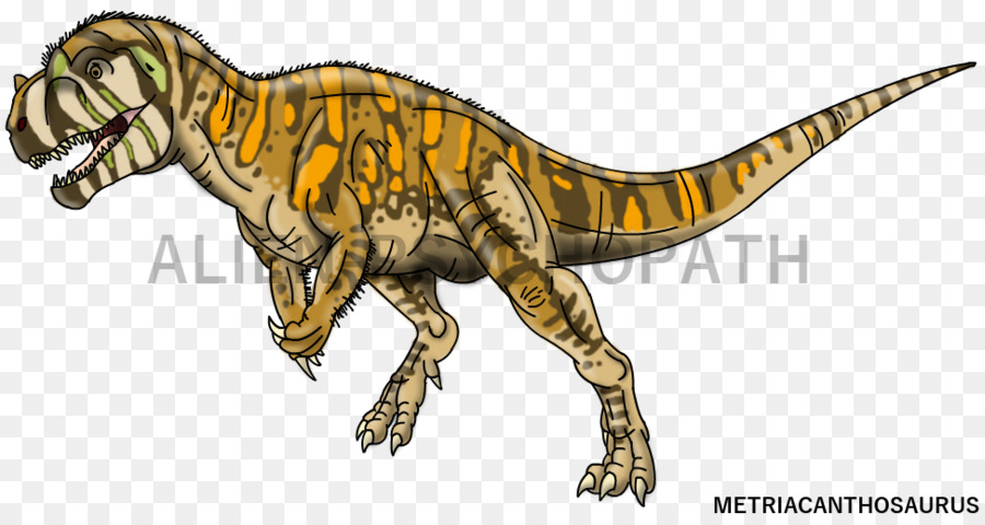 Metriacanthosaurus Velociraptor Spinosaurus Suchomimus Brachiosaurus - Allosaurus