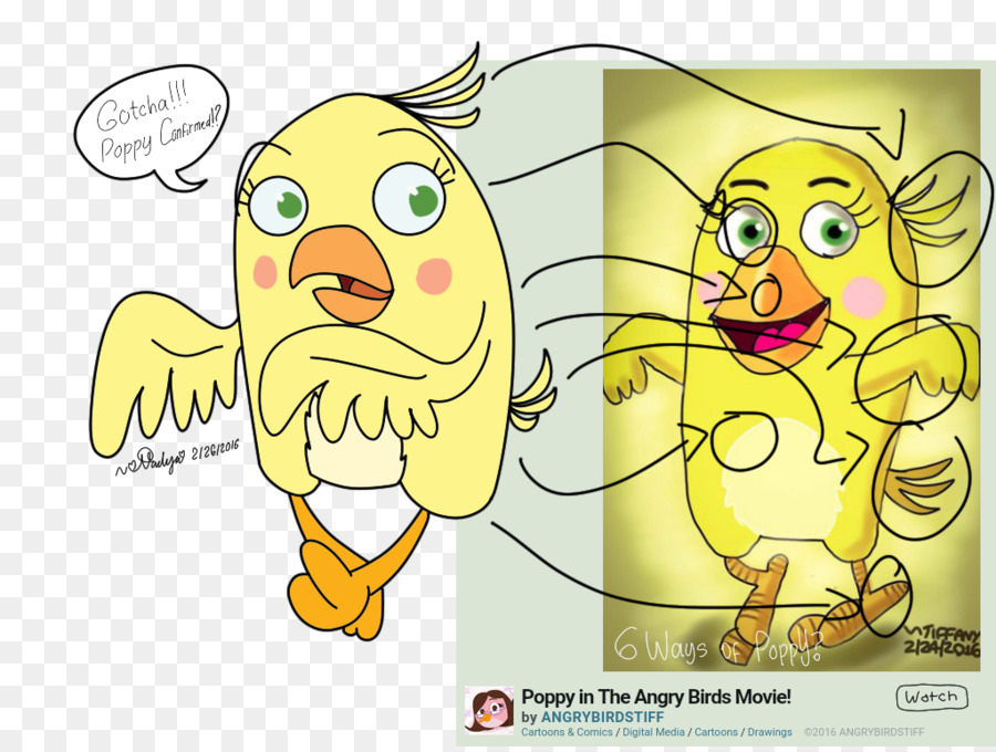 ANGRY BIRDS Drawing CHUCK | Bird drawings, Angry birds, Drawings