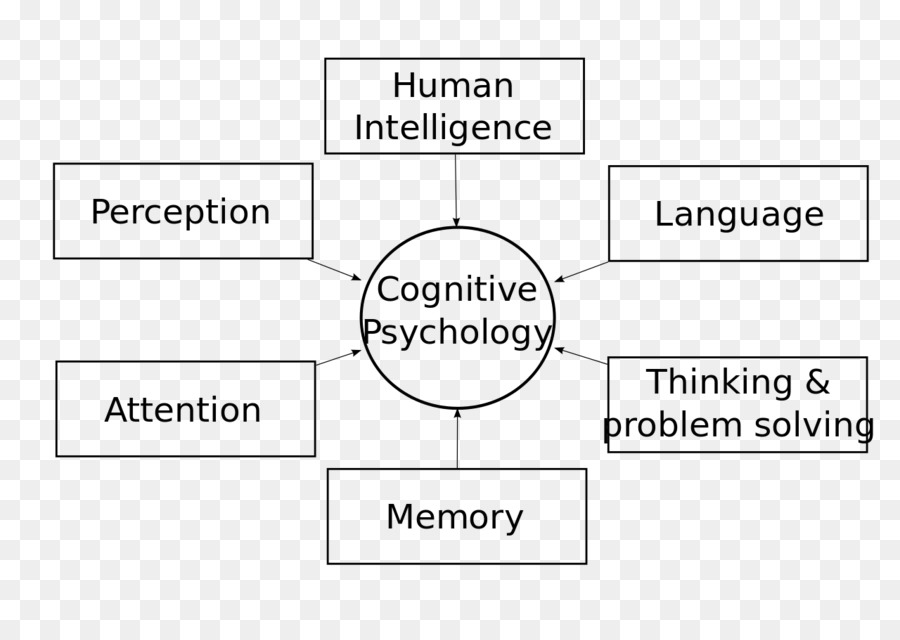 Kognitive Psychologie, Wahrnehmung, Psychische Prozess der Wahrnehmung - kognitive