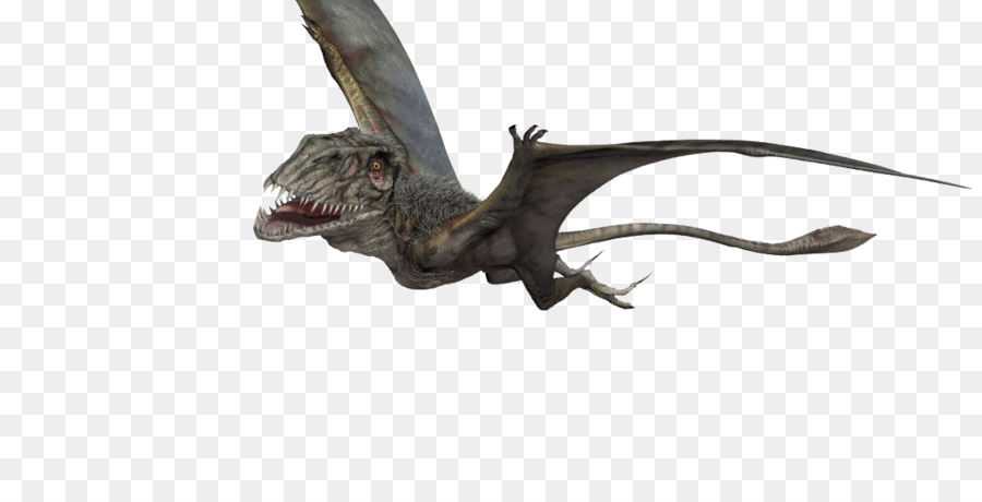 Dimorphodon Pteranodon Velociraptor Pterosaurier Jurassic Park - krokodil