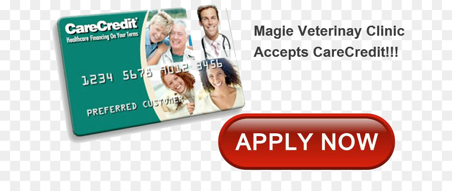 Magic Veterinary Clinic Health Care Finance Kredit-Tierarzt - dental clinic card