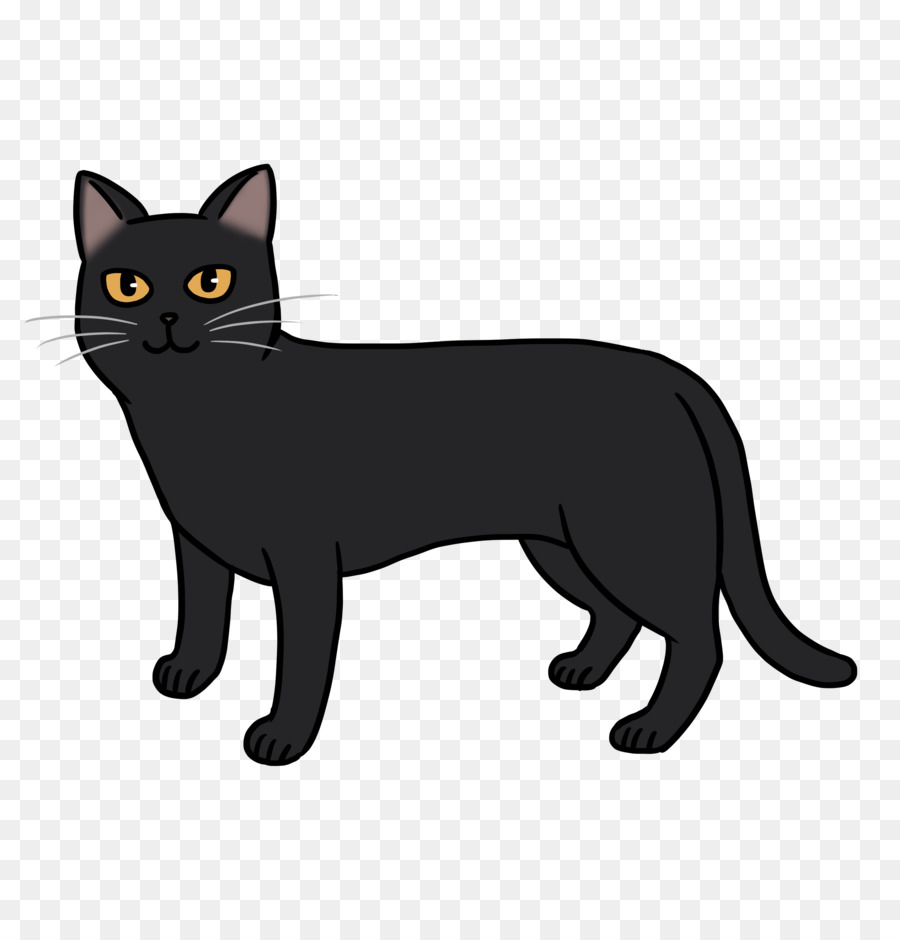 Manx-Katze American Wirehair Korat Schwarze Katze Kätzchen - Kätzchen