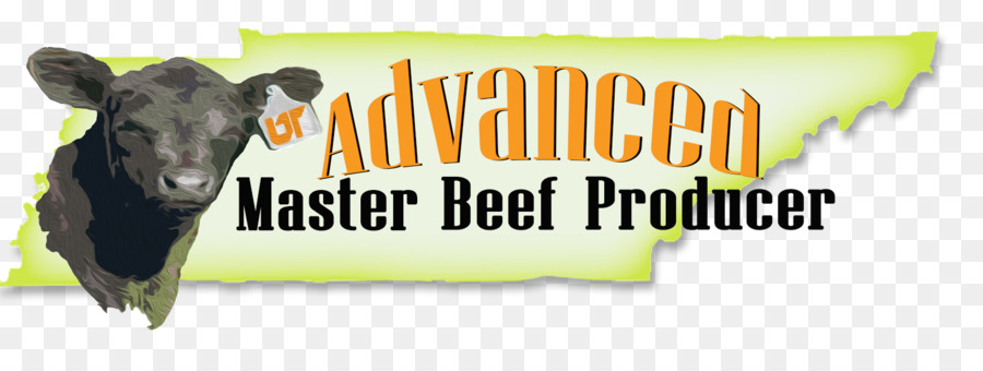 Milchprodukte Rinder, Angus-Rinder, Tennessee Beefmaster Kalb - Rindfleisch Produzent