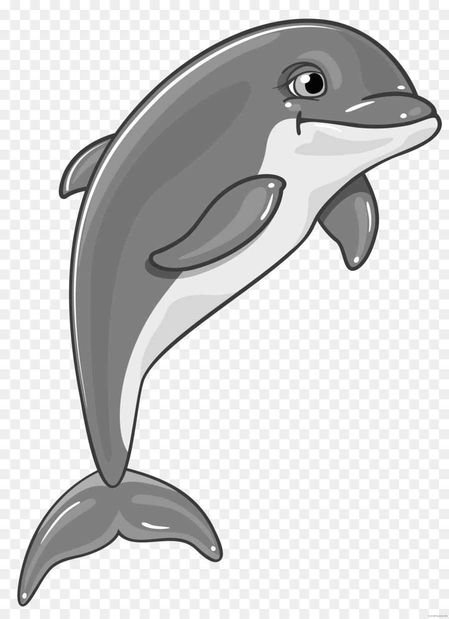 Common bottlenose-Delfin, Spinner-Delfin clipart - Delphin