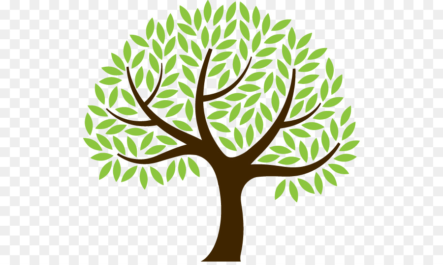 Die Grundlagen der Mathematik Zweig Baum-Wurzel-clipart - Baum
