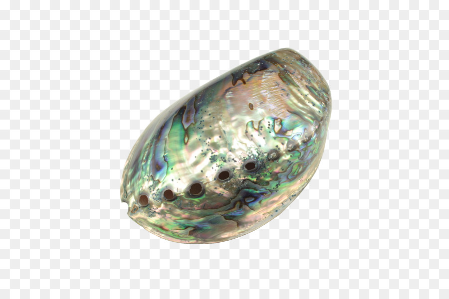 Gemstone Abalone