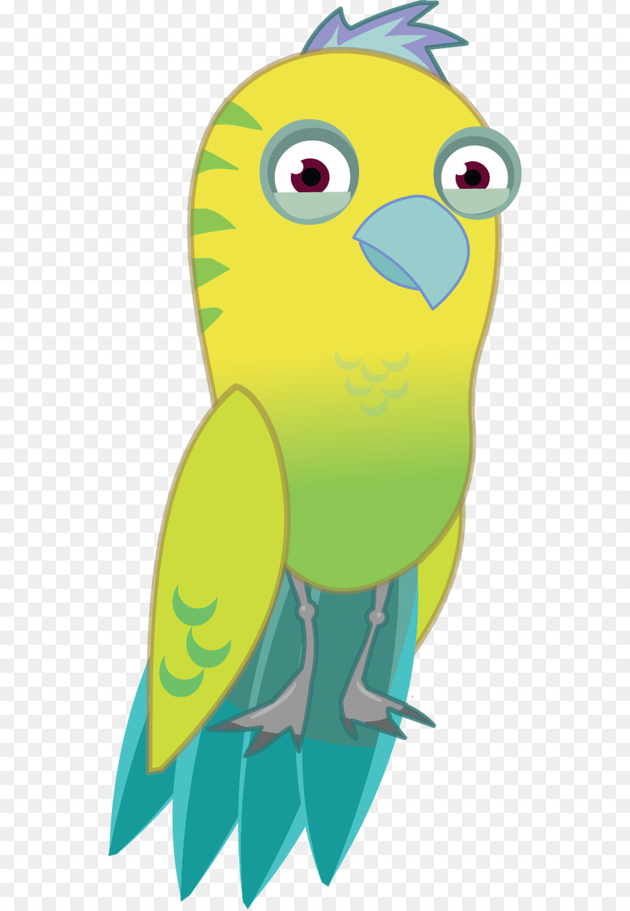 Macaw Pappagallo Becco Di Uccello - uccello