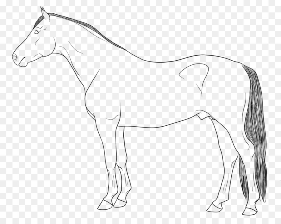 Nghệ Thuật Dòng Con Ngựa Vẽ - Con Ngựa Png Tải Về - Miễn Phí Trong Suốt Con  Ngựa Png Tải Về.