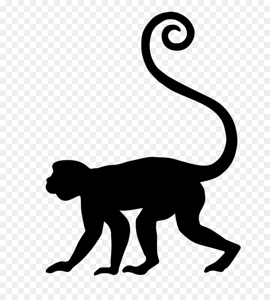 Gatto Icone del Computer Primate Cercopithecidae Clip art - scimmia