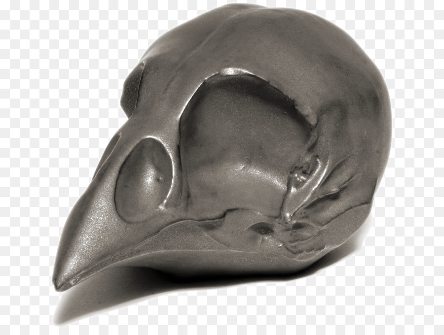 Cranio di Ceramica Gatto anatomia Vaso - cranio