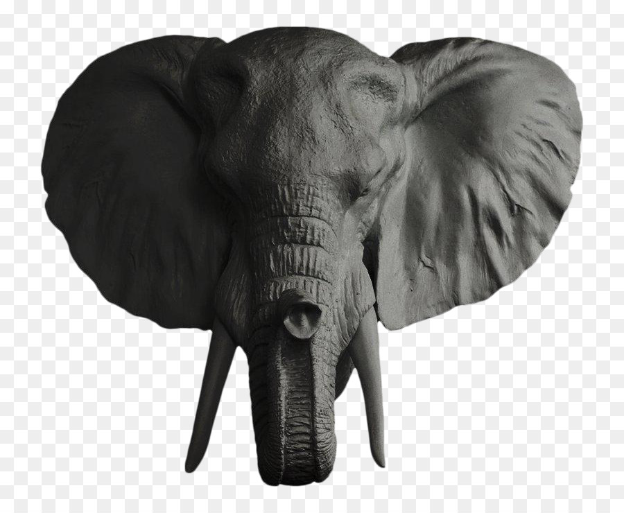 Elefante africano Elephantidae Tusk Ganesha Busto - testa di elefante