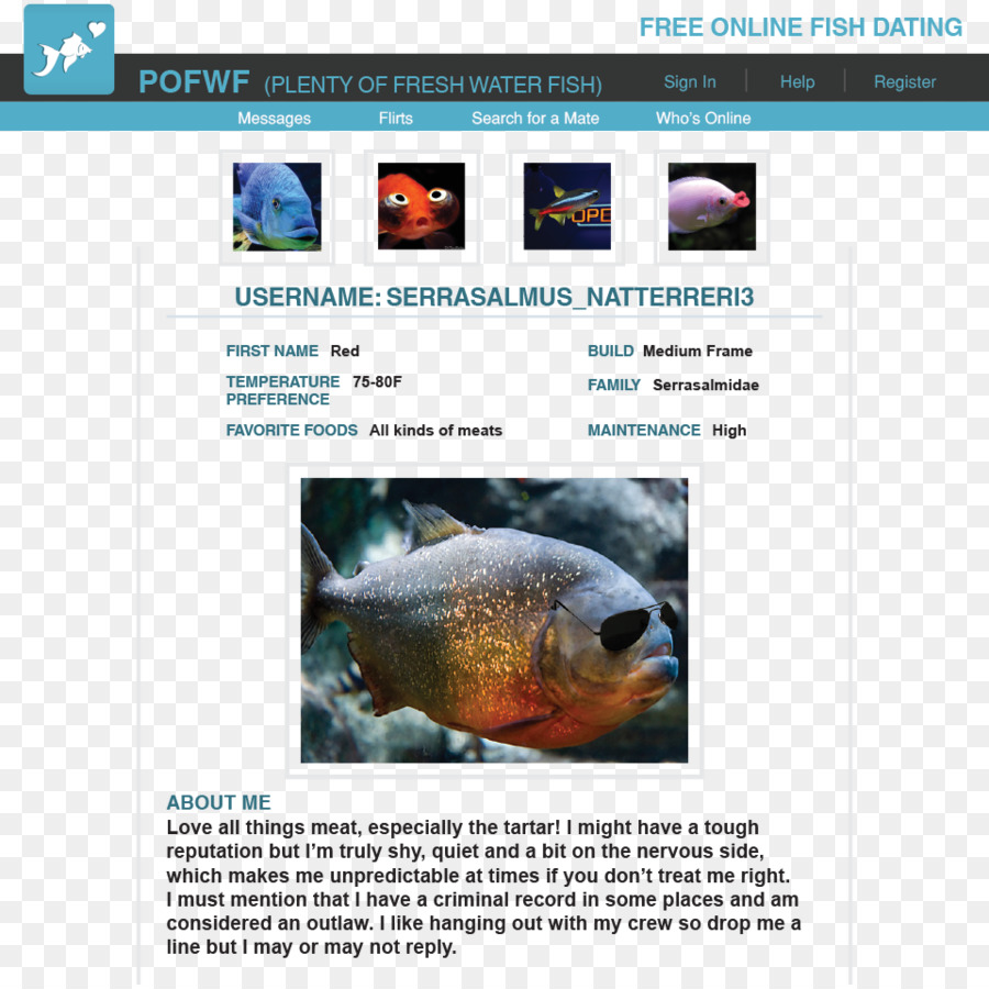 Ökosystem Web-Seite-Fauna Marine Biologie Red-bellied piranha - Fischgericht