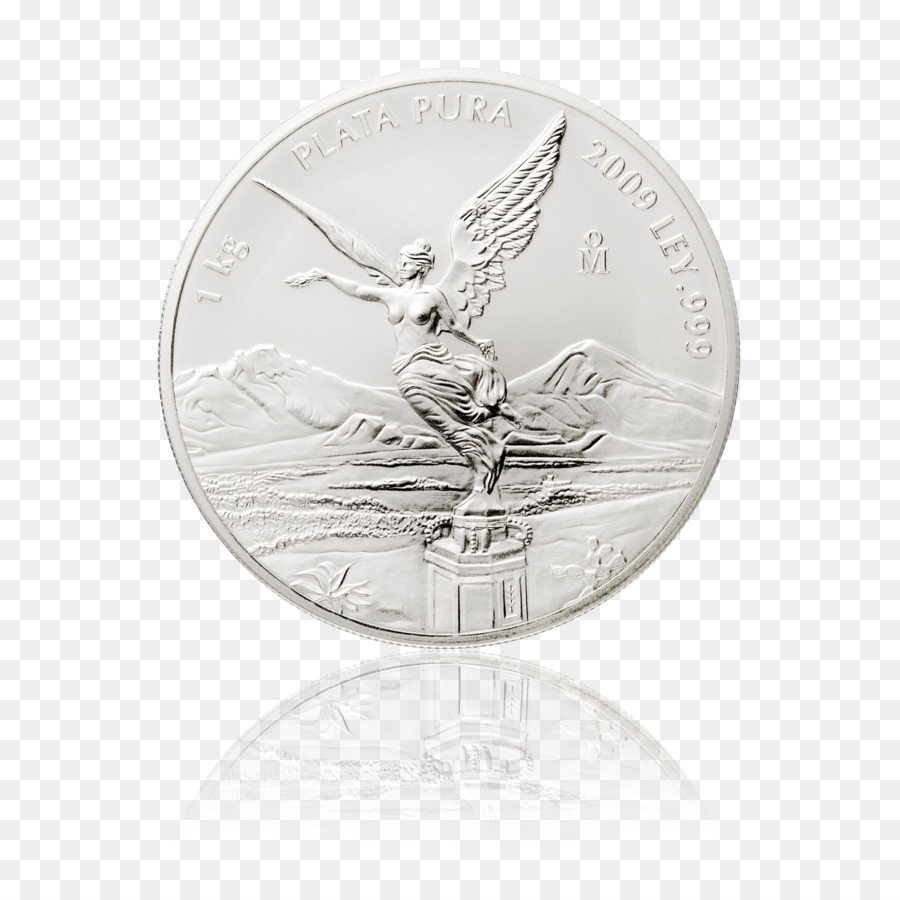 Münze Silber Nickel - Münze