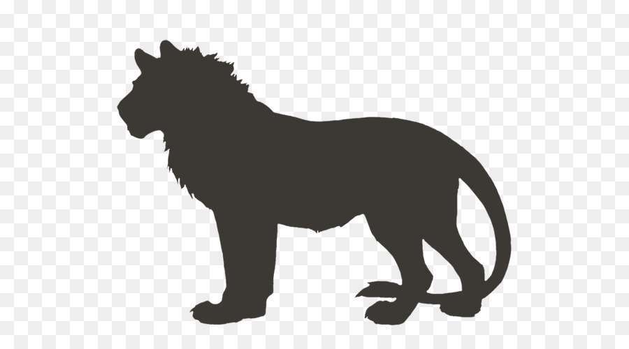 Lion Felidae Leopon Große Katze - Löwe