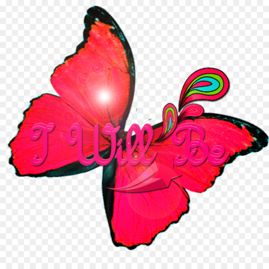 Vua bướm màu Hồng M màu Xanh Clip nghệ thuật - bướm