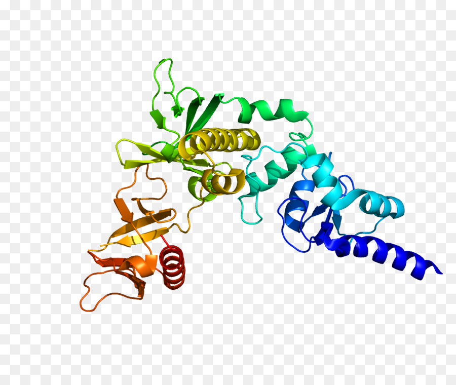 Centaurin, alpha 1 Protein P110a Gen Nucleolin - gtpase