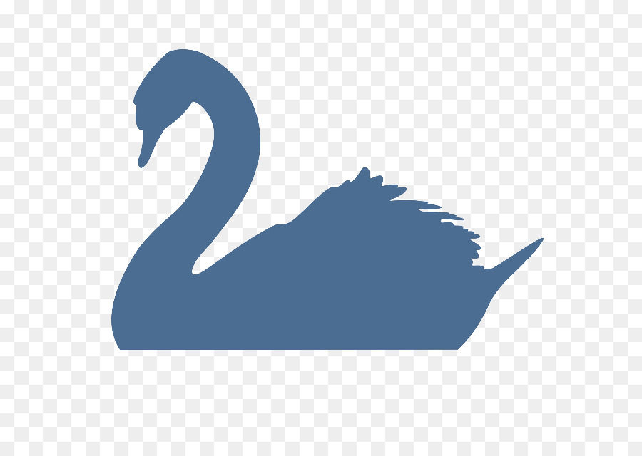 The Black Swan: Các Tác động của các Rất không Thể xảy ra Black swan lý thuyết Chim Bóng - điều trị thẩm mỹ