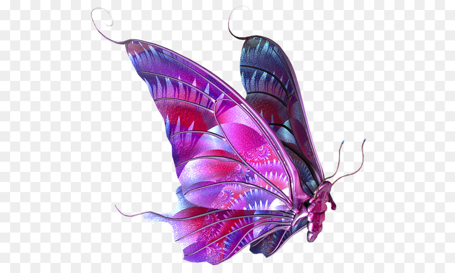 Schmetterling clip art - Schmetterling