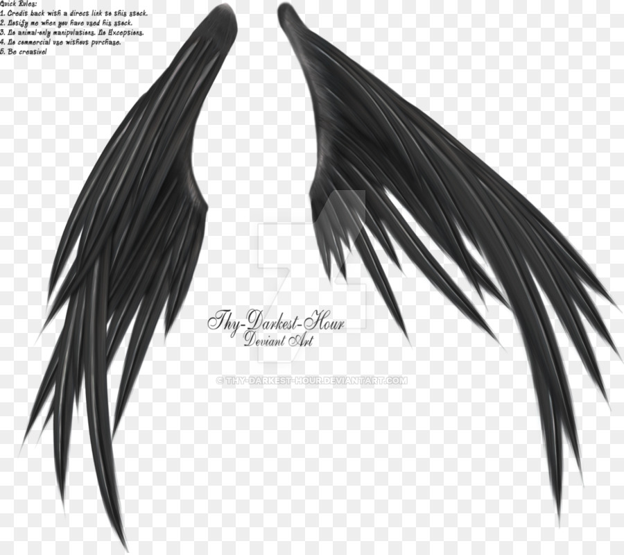 Angel Wing - Engel