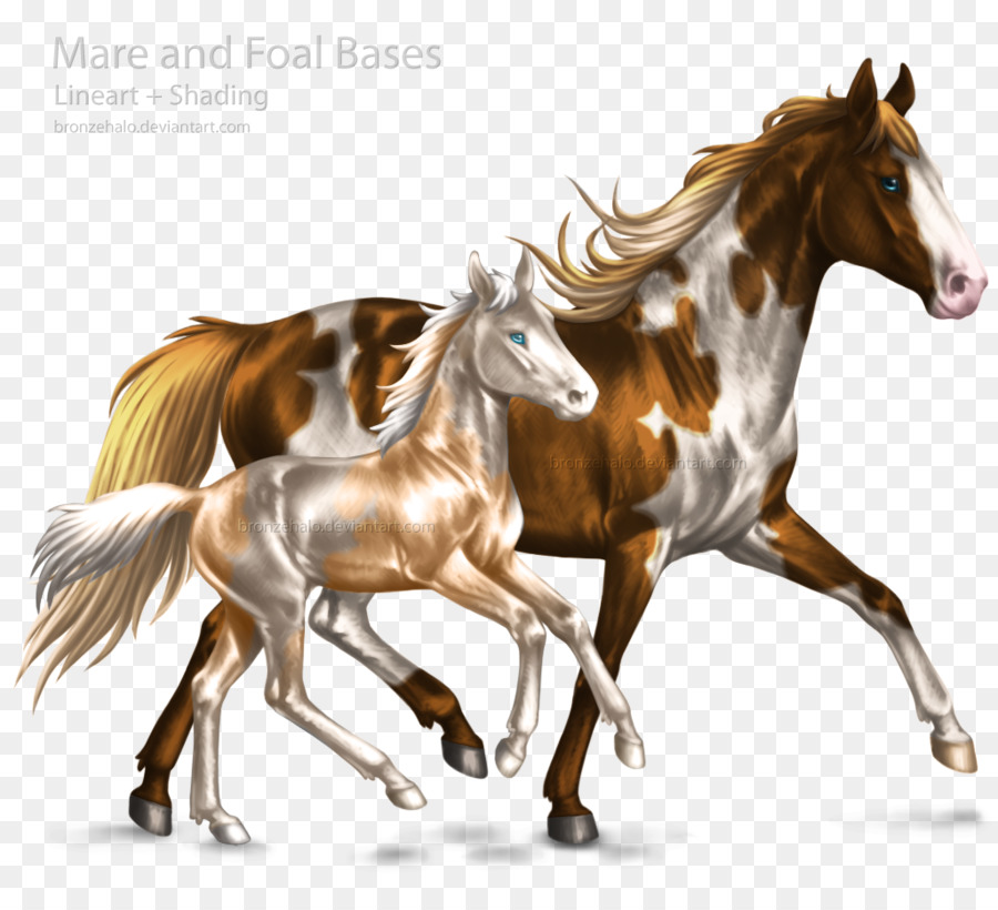 Mare Chú Ngựa Mustang Con Ngựa Bờm - mustang