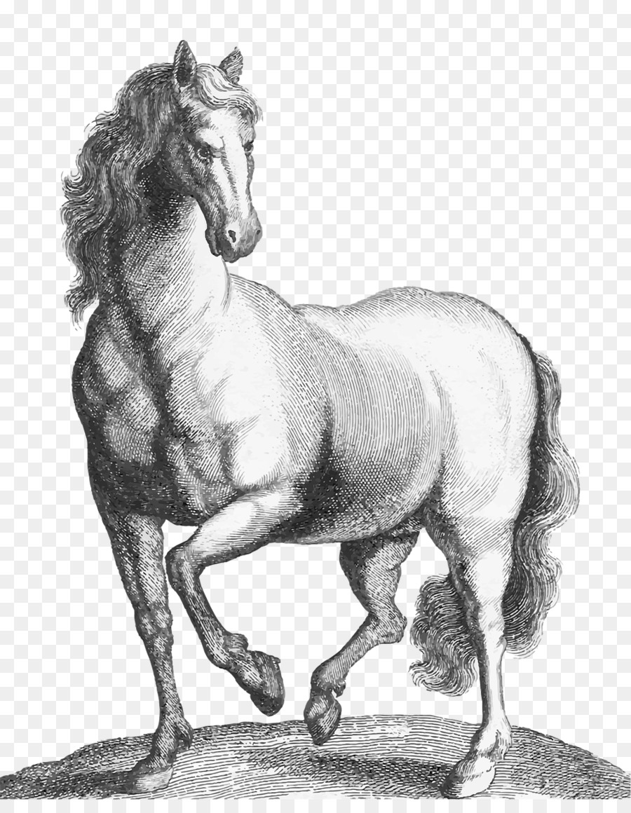 Mustang Con Ngựa Pony Khắc Động Vật - mustang