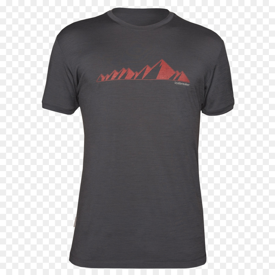 T-Shirt New England Patriots Hoodie Super Bowl XLIX Hut - T Shirt