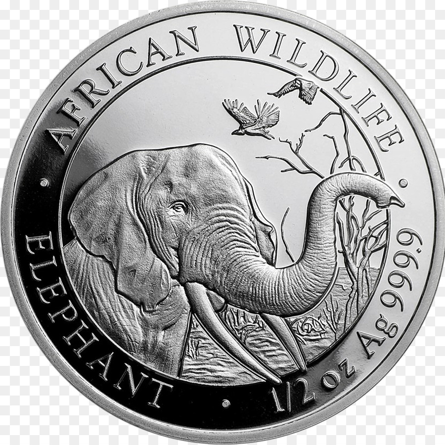 Somalia moneta moneta d'Argento - bar in argento