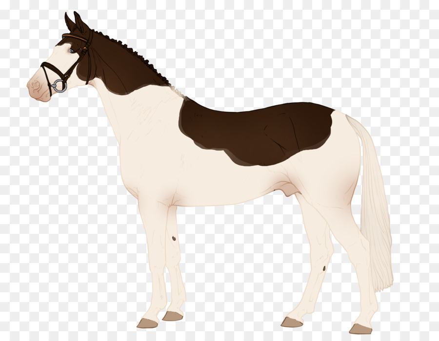 Mustang Ngựa Con Ngựa Mare Colt - mustang