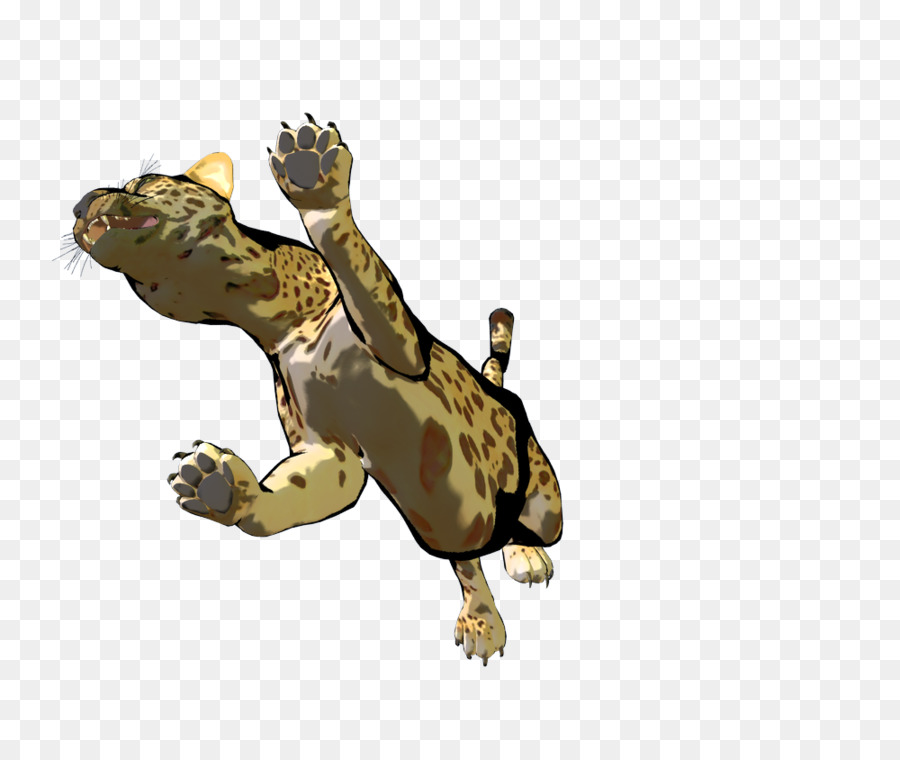 Schildkröte Turtle Amphibian Terrestrial animal - Schildkröte