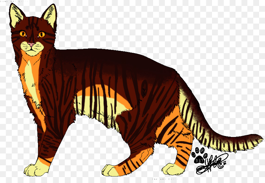 Baffi Wildcat Tiger Red fox - gatto