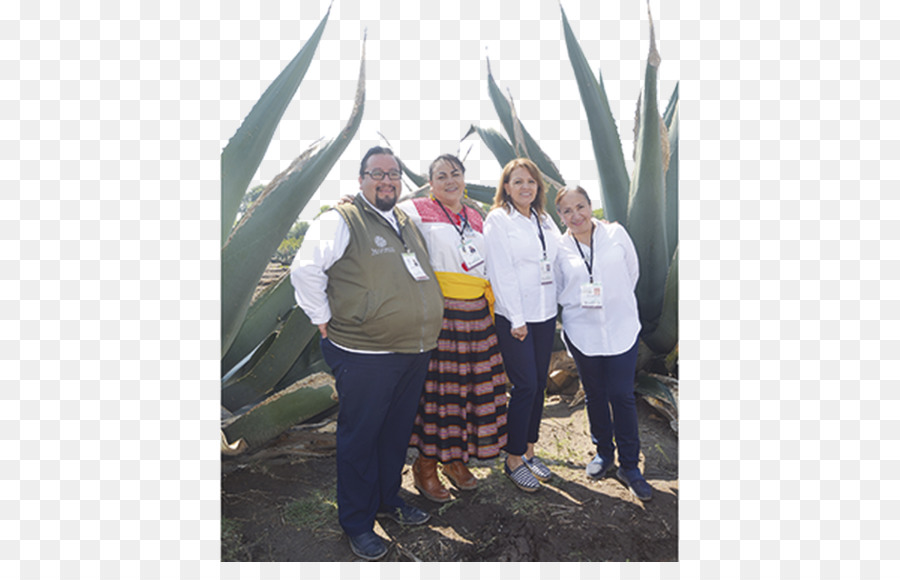 Culinary tourism Tlaxcaltec Die Sonne von Tlaxcala Agave - maguey