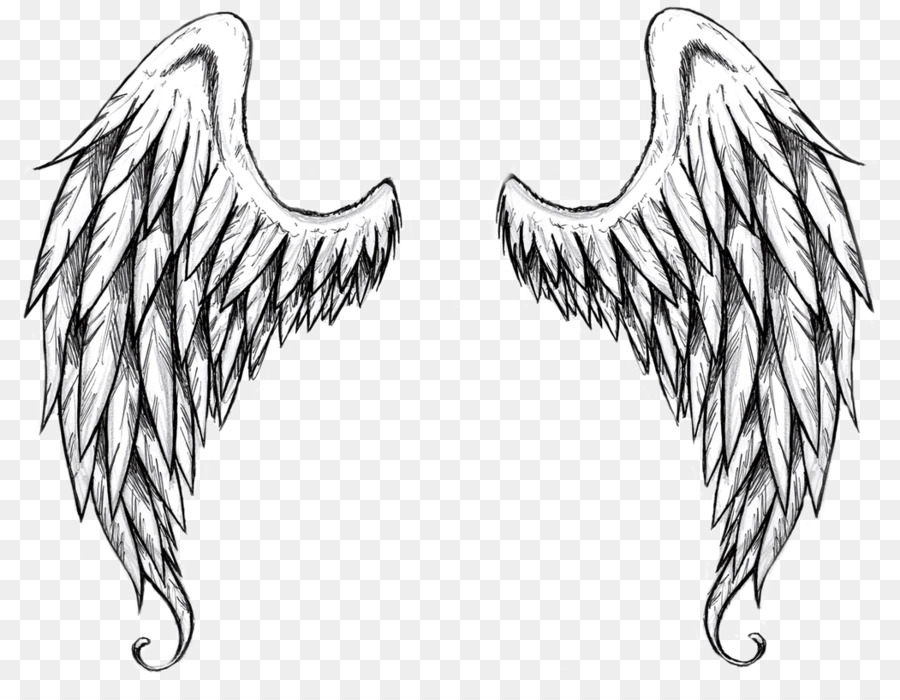 Angel Cartoon png download - 1051*800 - Free Transparent Drawing png  Download. - CleanPNG / KissPNG