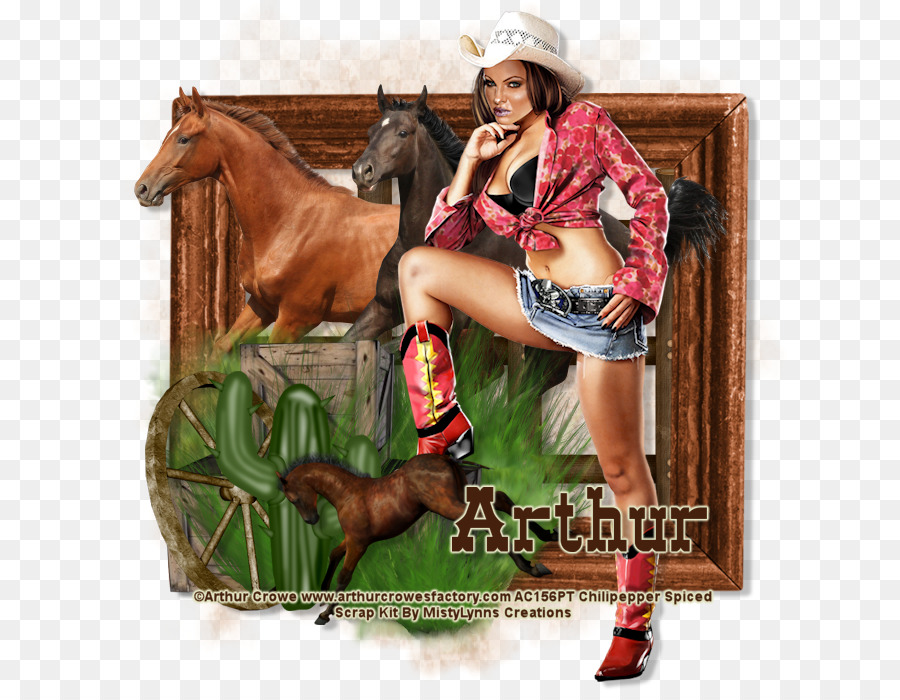 Trense Hengst Halfter Rein Cowboy - Cowgirls