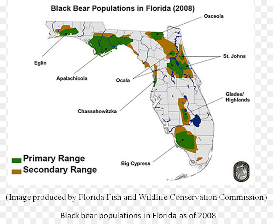 Florida gấu đen Florida gấu đen bản Đồ con cá sấu - Gấu