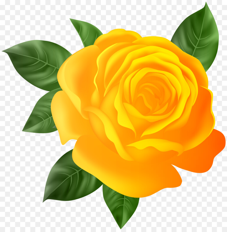 Garten Rosen Clip art - Rose