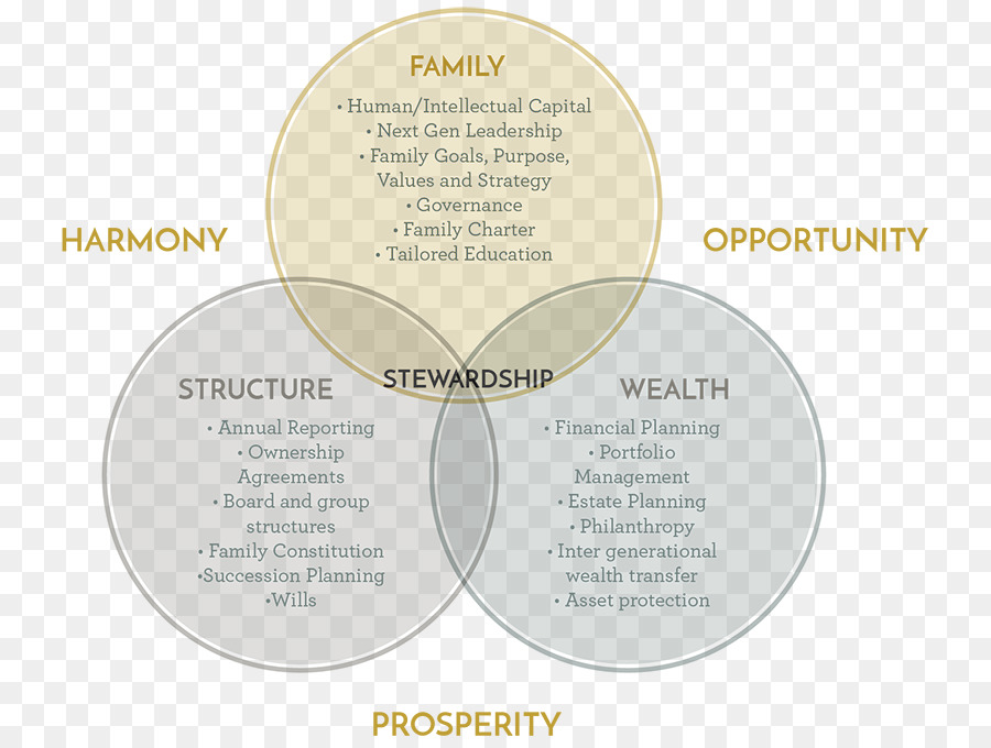 Stewardship Nachfolgeplanung Wealth Management Governance-framework - Stewardship