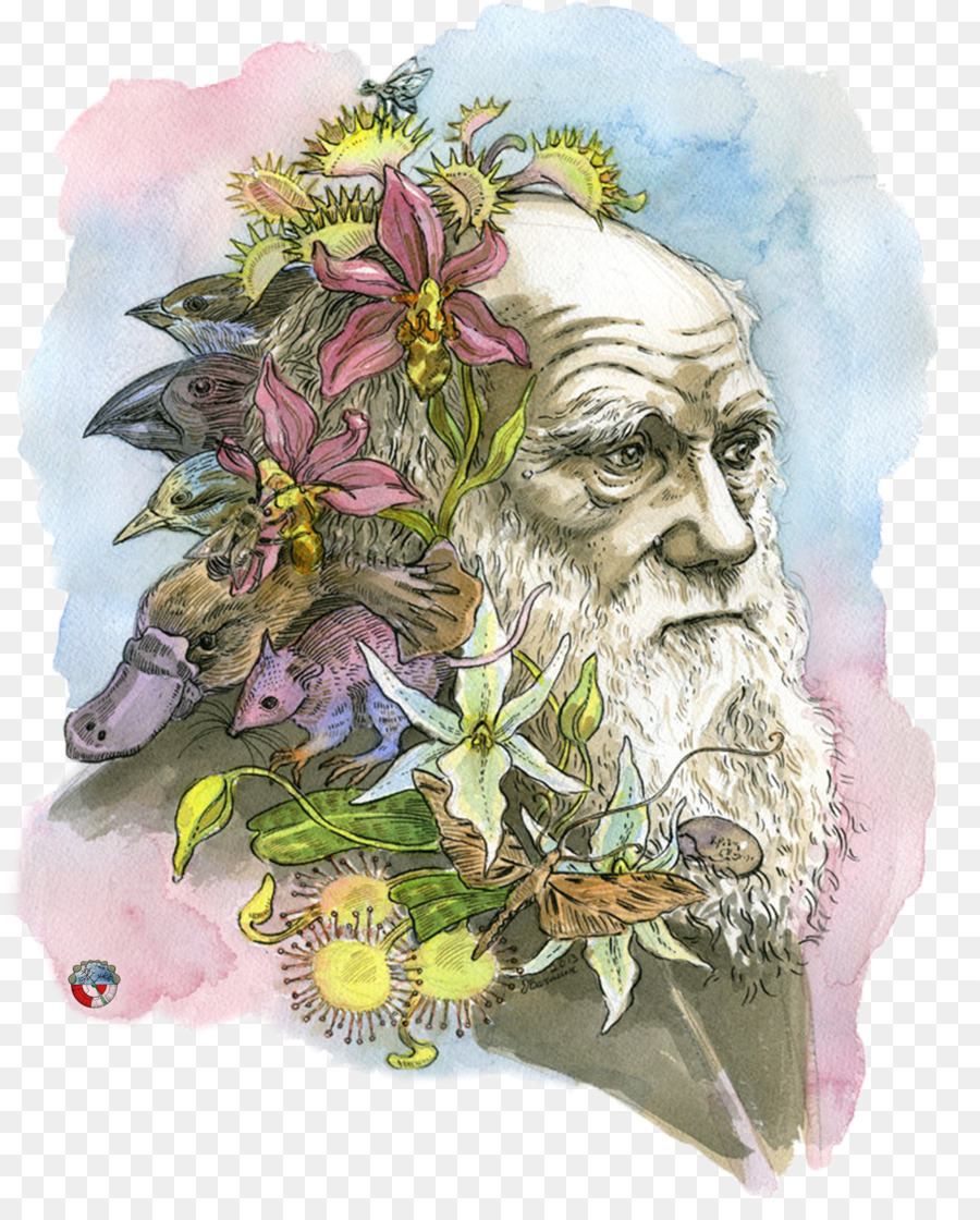 Der Schnabel des Finch: A Story of Evolution in Unserer Zeit-Die Reise auf der Beagle Die Theorie der Evolution Darwin-Tag - Wissenschaftler