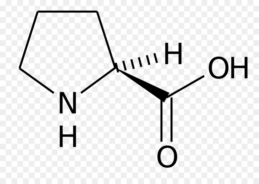 Amino acid Proline Kainic Säure Cystein - formular