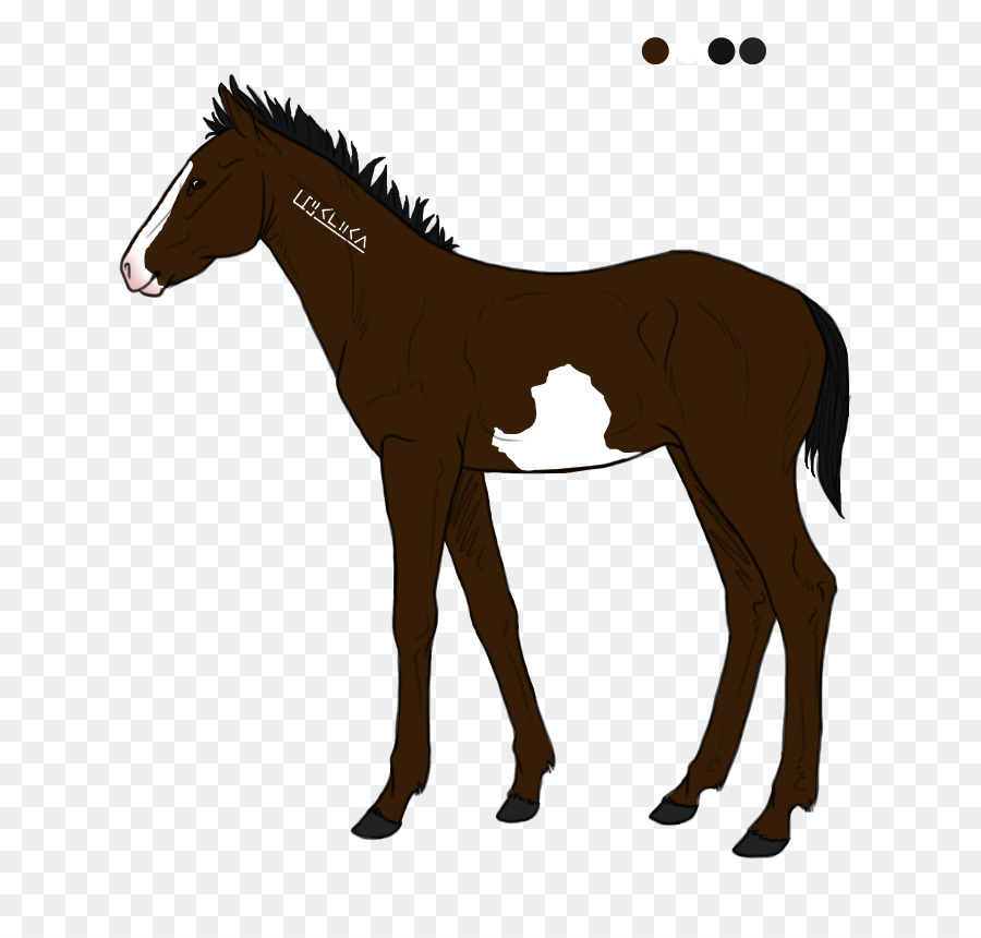 Mustang Biri Travbane Fohlen Pony - Mustang