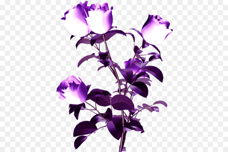 Cắt Cánh hoa gốc Thực vật màu Tím - màu tím đèn