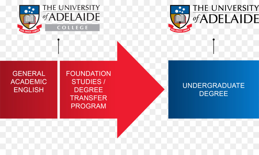 University of Adelaide Business Management den Akademischen Grad - Business
