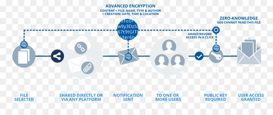 Distribuzione globale di Organizzazione del sistema di autenticazione Multi-fattore di protezione Dati - infografica banner