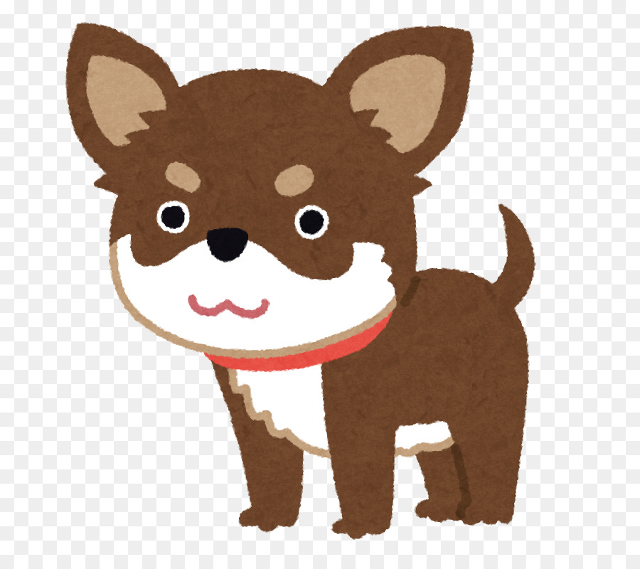 Chihuahua chó đức maltese ý chó Săn Thân xương bánh chè - chó chihuahua