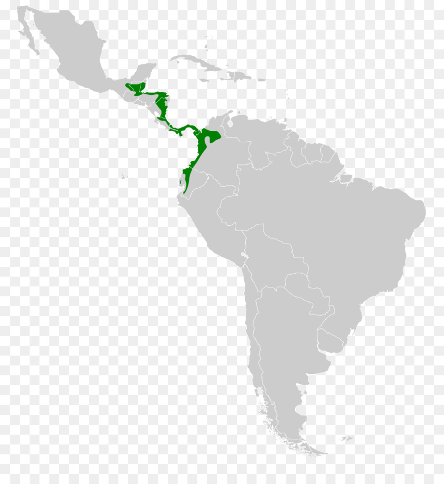 In America Latina, Stati Uniti, Centro America Cono Sud, Il Guianas - stati uniti