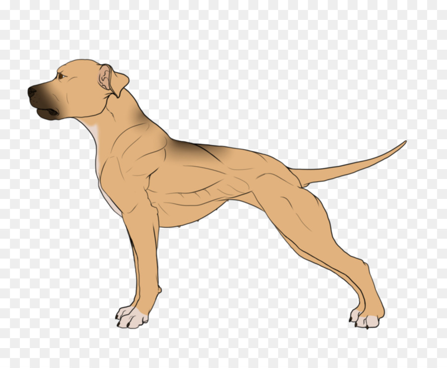 Cane di razza Non-gruppo sportivo Guinzaglio Cartoon - colpo di vento