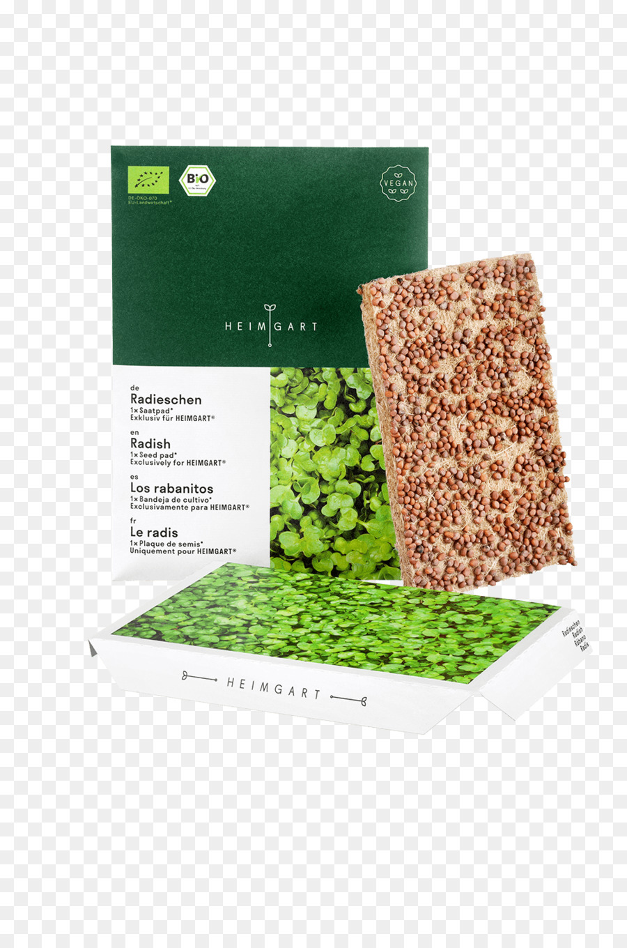 Microgreen Garten-Rettich-Samen Rucola-Salat - gar