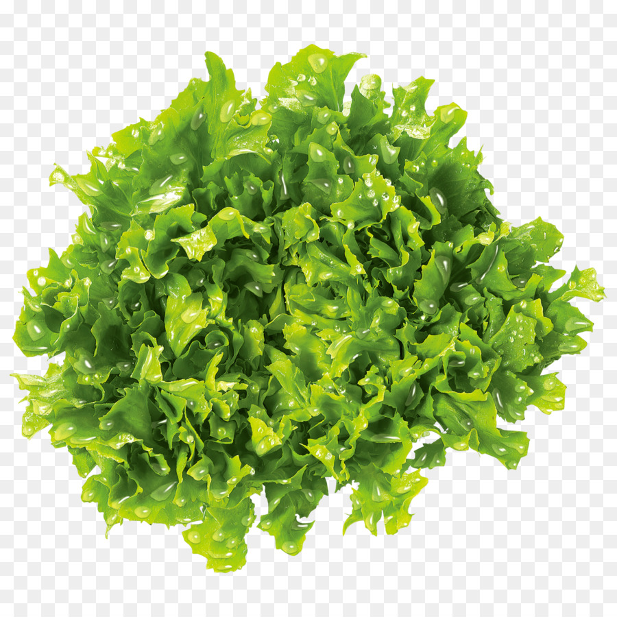 Verdure in foglie Brassica juncea Senape Cibo vegetale Prezzemolo - insalata