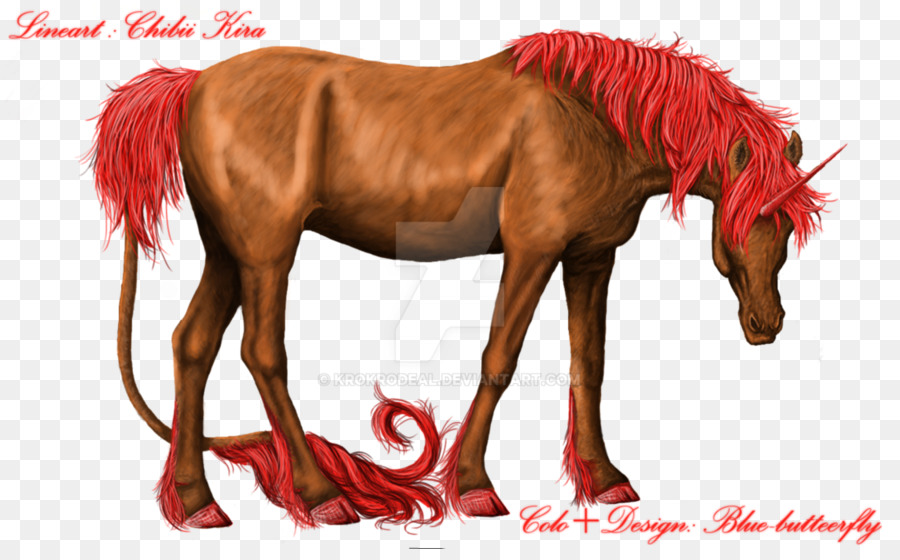 Mustang Stallion Mare Halter Freikörperkultur - Mustang