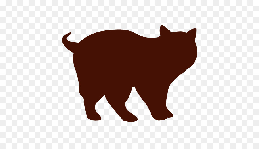 Gatto nero gatto dell'isola di Man Domestico gatto pelo corto Baffi Scottish Fold - gattino