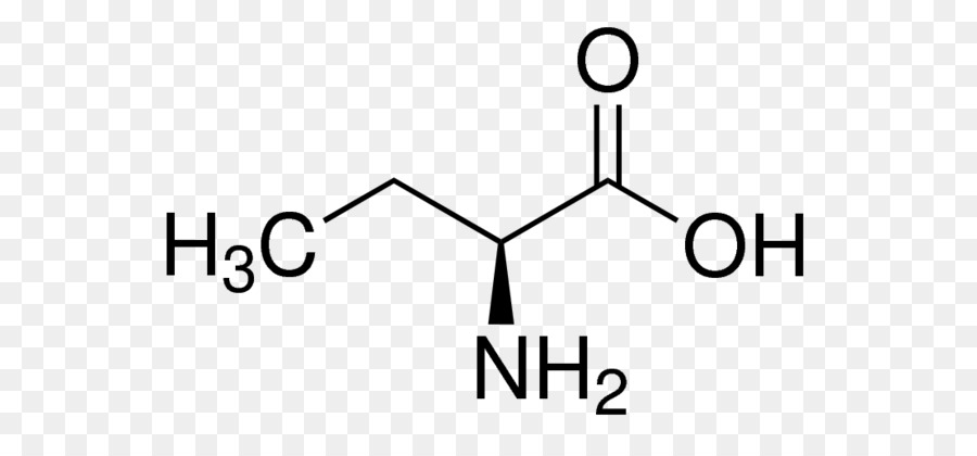 L'acido butirrico Amminoacido Alanina acido Carbossilico - 1naphthol8amino36disulfonic acido